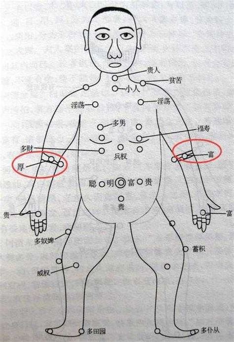 手臂痣图解|胳膊痣的位置与命运图解大全